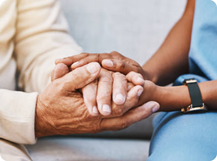 <p style="padding: 0; margin: 0;">Cuidados</p>