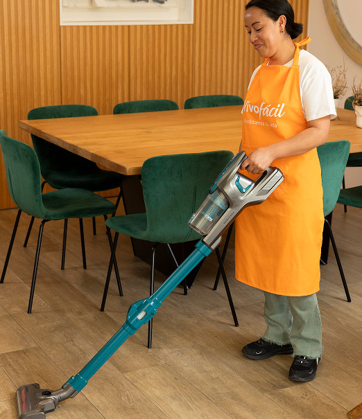 Vivofácil | Plancha y limpieza a domicilio