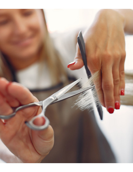 Vivofácil  | Peluquería a domicilio