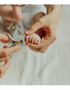 Vivofácil | Apoyo al Postparto 2