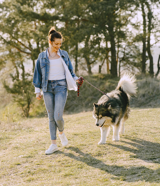 Vivofácil | Servicio de paseo y cuidado de mascotas