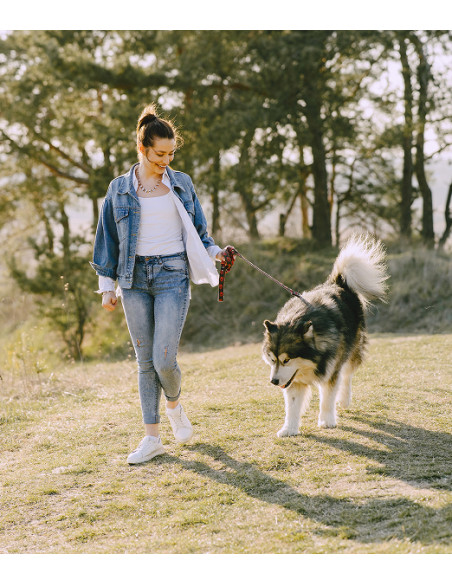 Vivofácil | Servicio de paseo y cuidado de mascotas
