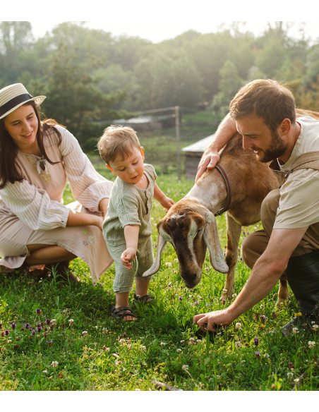Vivofácil Rural | El plan más completo de servicios para una vida mejor